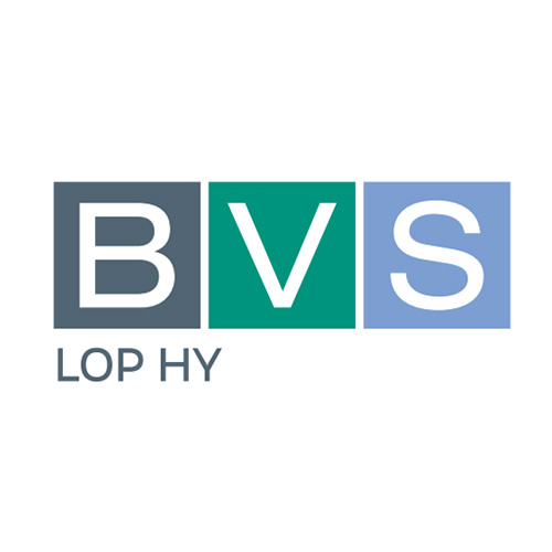 BVS-LOP-HY.jpg