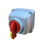 25A 3P service switch